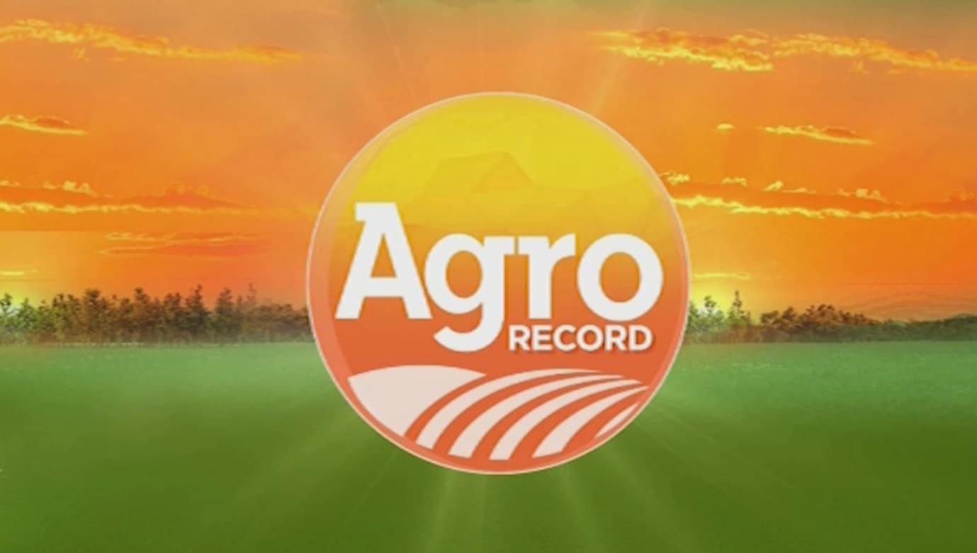 Agro Record: Porto do Itaqui bate recorde na movimentação de grãos e soja