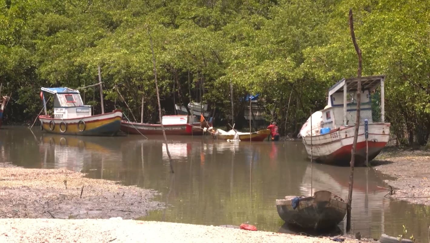 Marcha dos Manguezais Amazônicos reúne comunidades em defesa da preservação