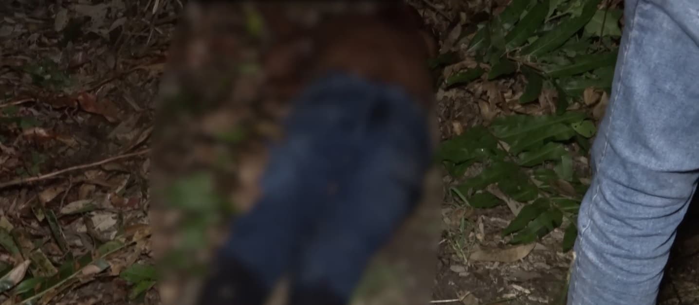 Corpo de homem é encontrado em área de mata no Gapara, em São Luís