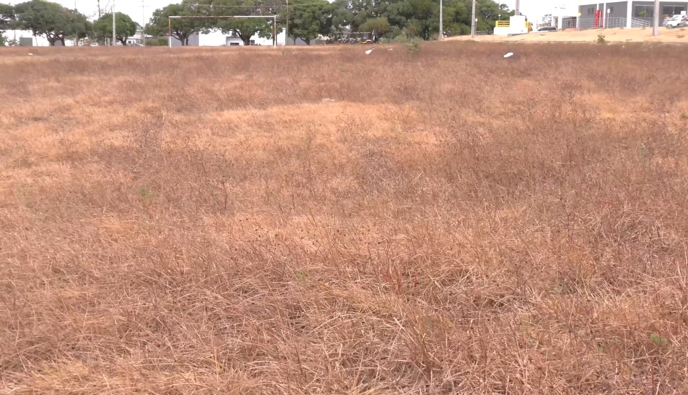 Estiagem atinge 100% do território maranhense e preocupa especialistas